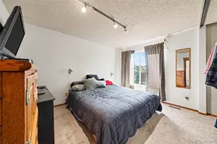 1065 S Lindsey St, Castle Rock, CO 80104 - Photo 6