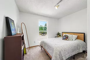 1065 S Lindsey St, Castle Rock, CO 80104 - Photo 8