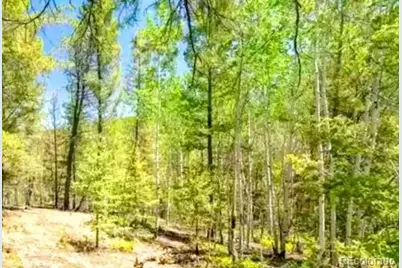 111 Co 67, Cripple Creek, CO 80813 - Photo 4
