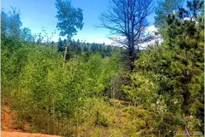 111 Co 67, Cripple Creek, CO 80813 - Photo 2