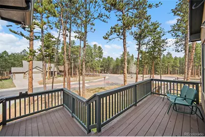 1101 Ptarmigan Drive, Woodland Park, CO 80863 - Photo 6