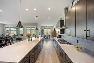 124 Scrubjay Ln, Castle Rock, CO 80104 - Photo 12