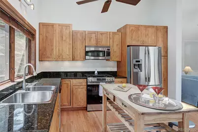 930 Matchless Drive, Aspen, CO 81611 - Photo 12