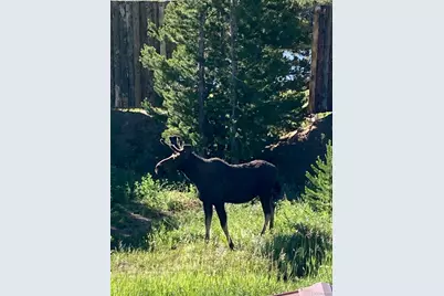 10658 US Highway 34, Grand Lake, CO 80447 - Photo 26