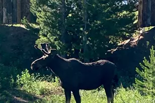 10658 US Hwy 34, Grand Lake, CO 80447 - Photo 26