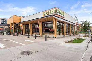 944 Ivanhoe St, Denver, CO 80220 - Photo 48