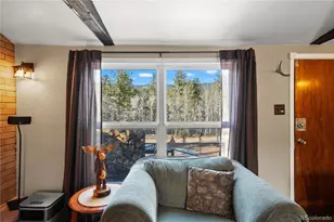 106 Elk Dr, Bailey, CO 80421 - Photo 8