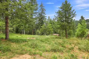 19133 Silver Ranch Rd, Conifer, CO 80433 - Photo 40