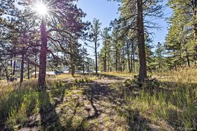 3942 S Palo Verde Road, Evergreen, CO 80439 - Photo 14