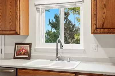 23496 Broadmoor Drive, Parker, CO 80138 - Photo 10