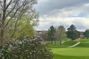 8642 Canongate Ln, Highlands Ranch, CO 80130 - Photo 46