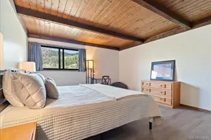 35 Wheeler Pl, Frisco, CO 80443 - Photo 6