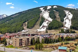 35 Wheeler Pl, Frisco, CO 80443 - Photo 30