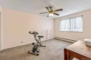 1233 N Ogden St, Denver, CO 80218 - Photo 10