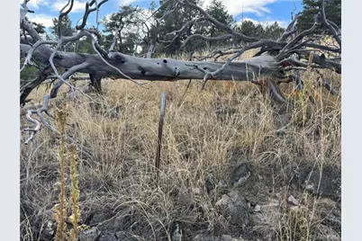 2926 E Path, Cotopaxi, CO 81223 - Photo 24