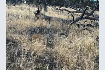 2926 E Path, Cotopaxi, CO 81223 - Photo 20