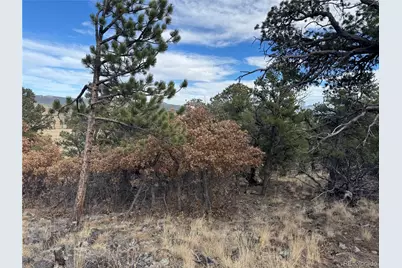 2926 E Path, Cotopaxi, CO 81223 - Photo 44