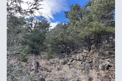 2926 E Path, Cotopaxi, CO 81223 - Photo 32