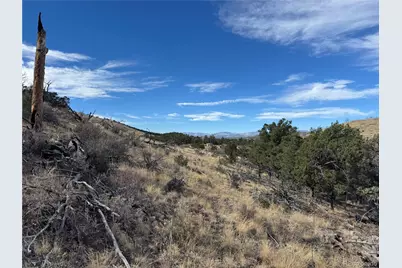 2926 E Path, Cotopaxi, CO 81223 - Photo 18