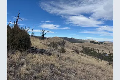 2926 E Path, Cotopaxi, CO 81223 - Photo 28