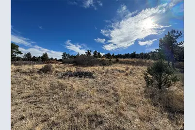 2926 E Path, Cotopaxi, CO 81223 - Photo 8