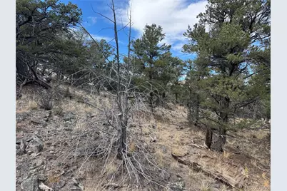 2926 E Path, Cotopaxi, CO 81223 - Photo 40