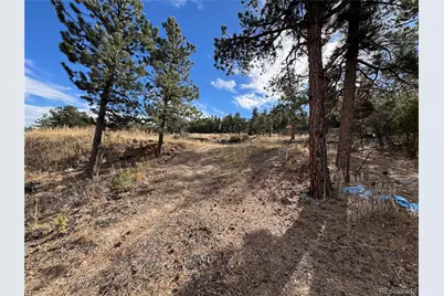 2926 E Path, Cotopaxi, CO 81223 - Photo 10