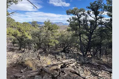 2926 E Path, Cotopaxi, CO 81223 - Photo 36