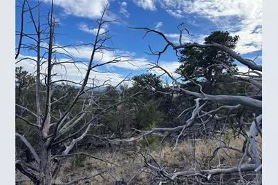 2926 E Path, Cotopaxi, CO 81223 - Photo 26