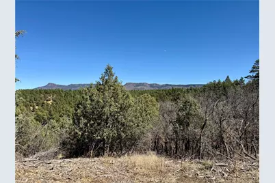 34999 Timber Park Drive, Trinidad, CO 81082 - Photo 10