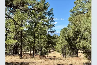 34999 Timber Park Drive, Trinidad, CO 81082 - Photo 4