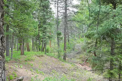 13114 Grey Hackle Drive, Larkspur, CO 80118 - Photo 8