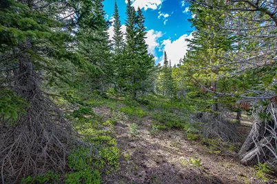 123 Mosquito Creek Road, Black Hawk, CO 80422 - Photo 36