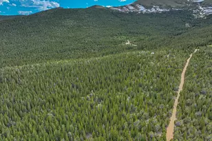 123 Mosquito Creek Rd, Black Hawk, CO 80422 - Photo 1
