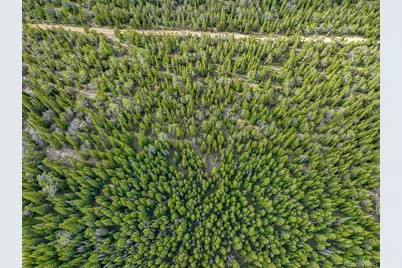 123 Mosquito Creek Road, Black Hawk, CO 80422 - Photo 8