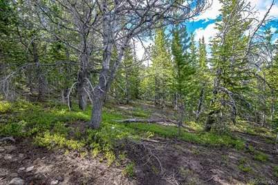 123 Mosquito Creek Road, Black Hawk, CO 80422 - Photo 34