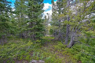 123 Mosquito Creek Road, Black Hawk, CO 80422 - Photo 38