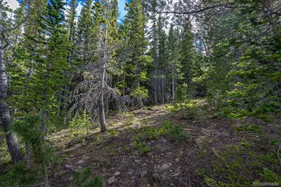 123 Mosquito Creek Road, Black Hawk, CO 80422 - Photo 32