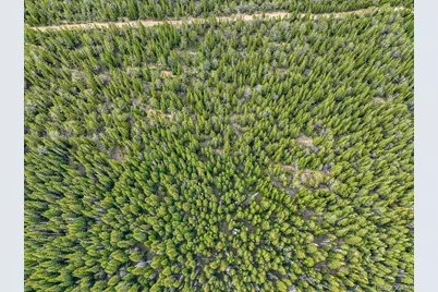 123 Mosquito Creek Road, Black Hawk, CO 80422 - Photo 6