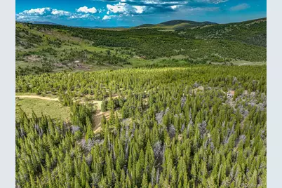 123 Mosquito Creek Road, Black Hawk, CO 80422 - Photo 26