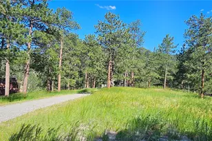 27901 Pine Dr, Evergreen, CO 80439 - Photo 28