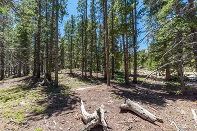 176 Gold Trail Circle, Fairplay, CO 80440 - Photo 6