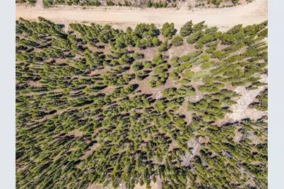 176 Gold Trail Circle, Fairplay, CO 80440 - Photo 28