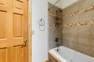 73 Bighorn Ln, Florissant, CO 80816 - Photo 24