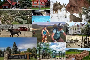 10284 W Hayden Pass, Littleton, CO 80127 - Photo 50