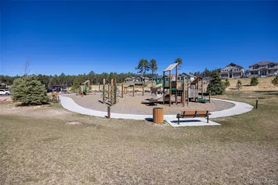 928 Graywoods Terrace, Monument, CO 80132 - Photo 20