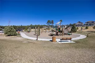 928 Graywoods Ter, Monument, CO 80132 - Photo 20