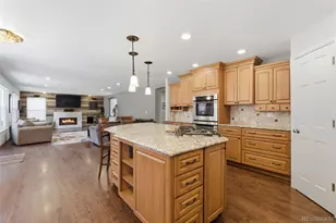 8966 Green Meadows Ct, Highlands Ranch, CO 80126 - Photo 10