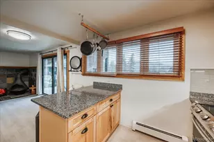 365 Salt Lick Circle, Silverthorne, CO 80498 - Photo 10