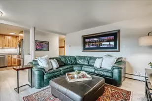 365 Salt Lick Circle, Silverthorne, CO 80498 - Photo 4